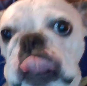 Meet your Posher, Jean